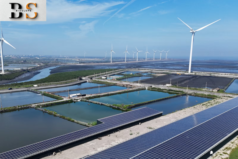 Renewable Energy Investments Hit Record High